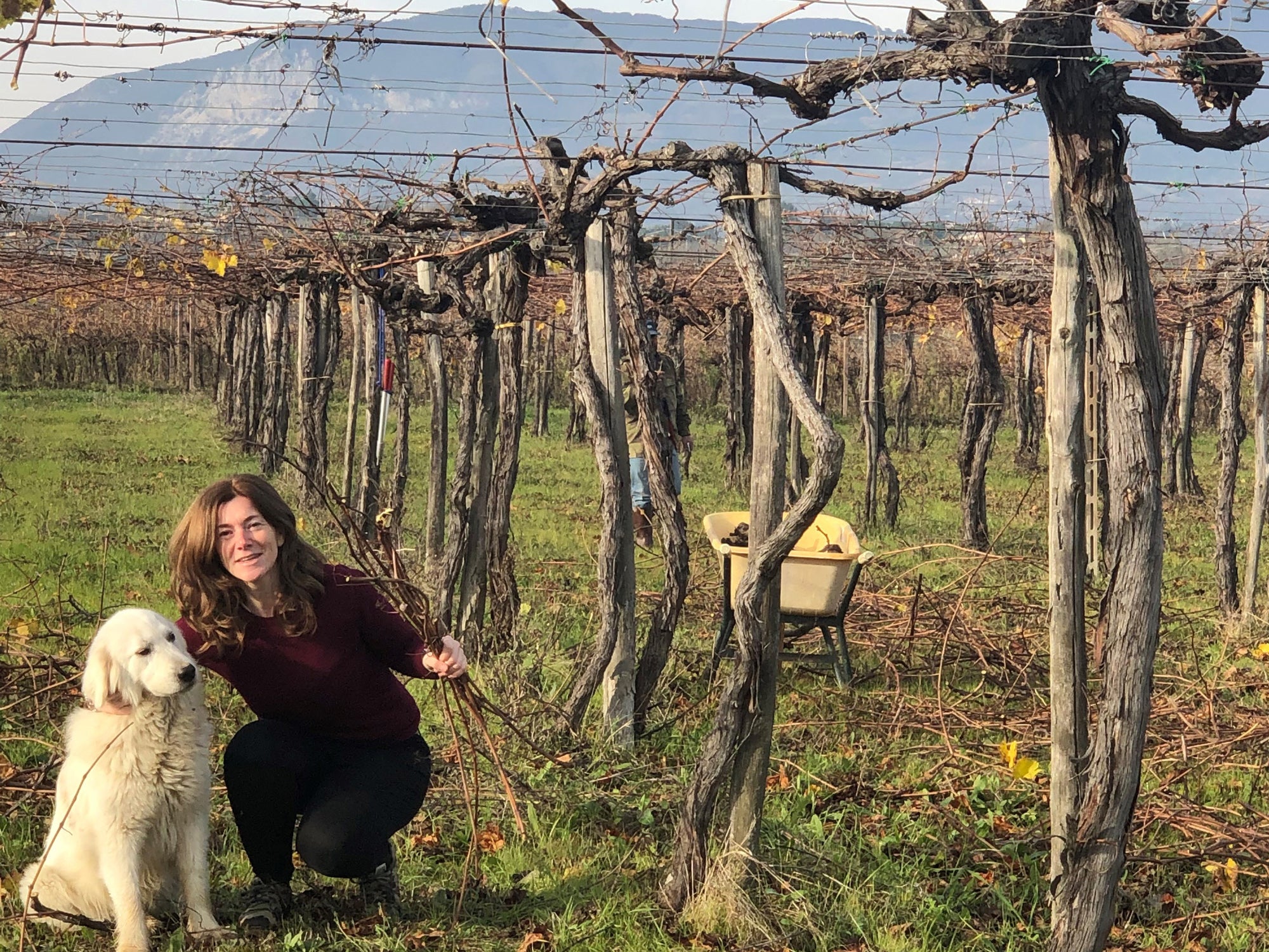 The Brilliant Wines of Cristiana Tiberio