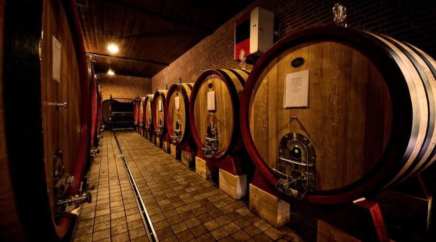 The Wines of Fratelli Monchiero