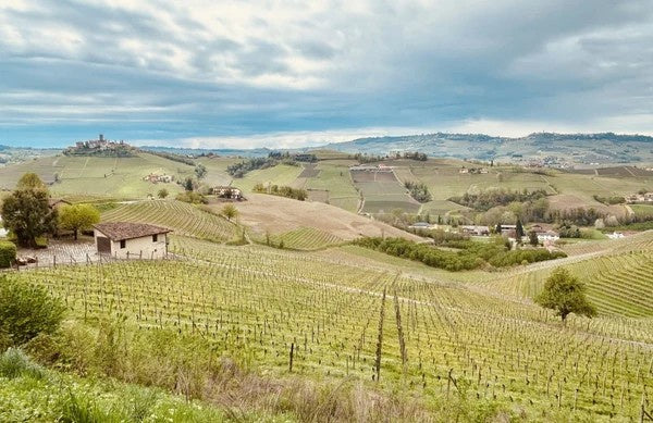 San Barnaba Tasting- Italian Masterclass w/ Michael Acheson