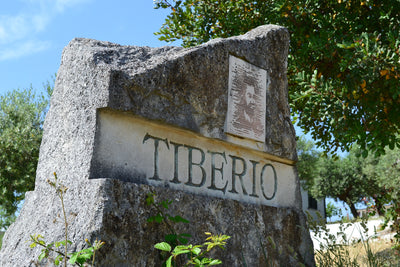 Gems of Abruzzo: Tiberio Single Vineyard Vertical Tasting - Apr 10th @ 6:30pm